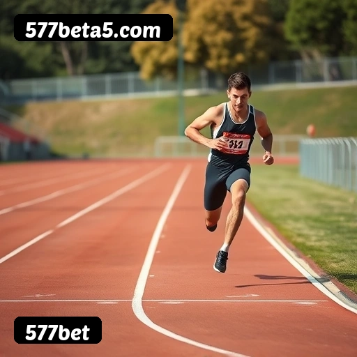 Níveis do programa VIP da 577bet